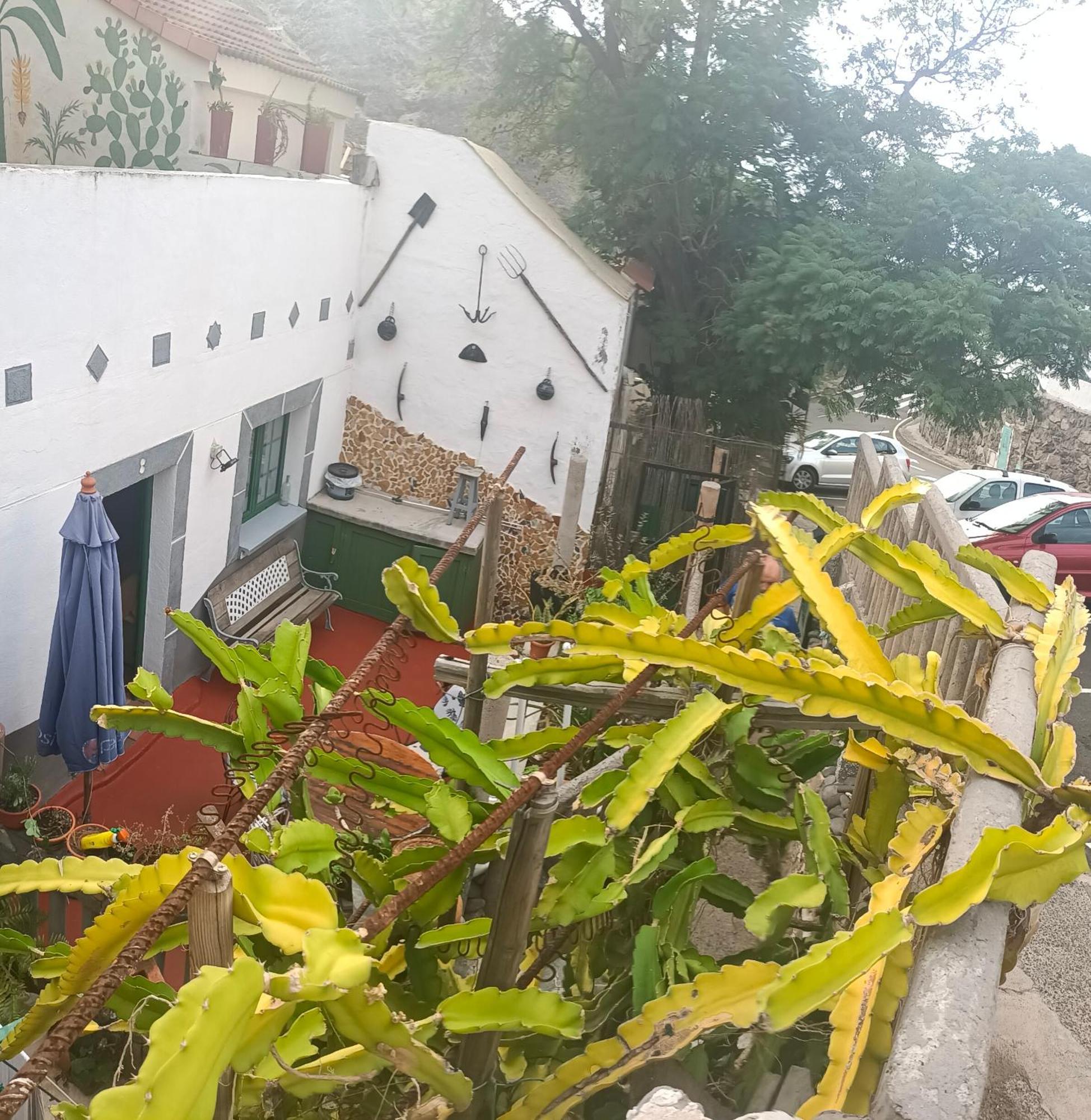 Chalet Juana La Concha Valle De Agaete San Pedro  المظهر الخارجي الصورة
